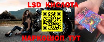 прущая мука Жуковский