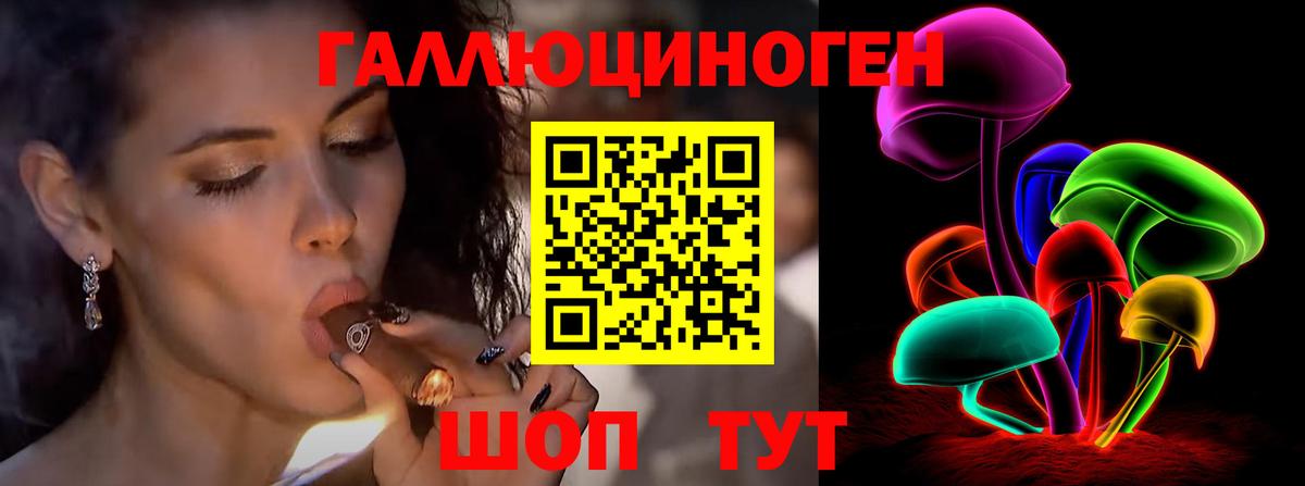 Галлюциногенные грибы прущие грибы  Вход с VPN  Лабинск  Псилоцибиновые грибы GOLDEN TEACHER 